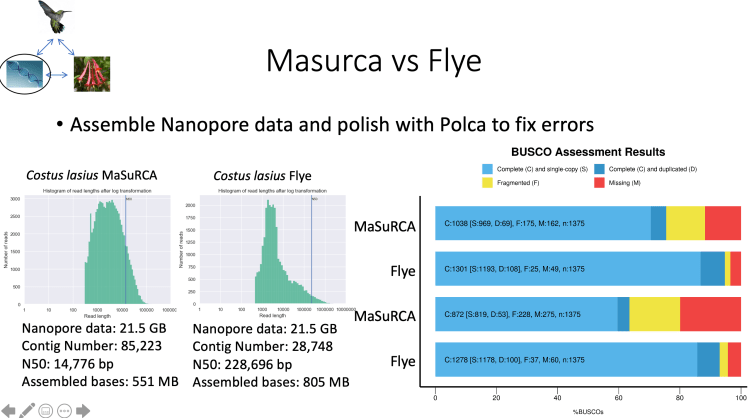 Screen Shot 2020-08-05 at 9.27.20 PM