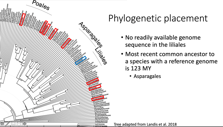 Screen Shot 2020-08-05 at 9.27.47 PM